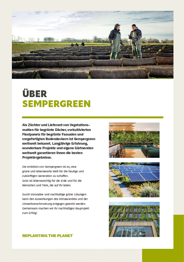 Informationsflyer Sempergreen Group