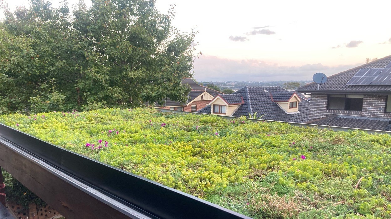 Green roof in Sydney covered with Click 'n Go Sedumtrays