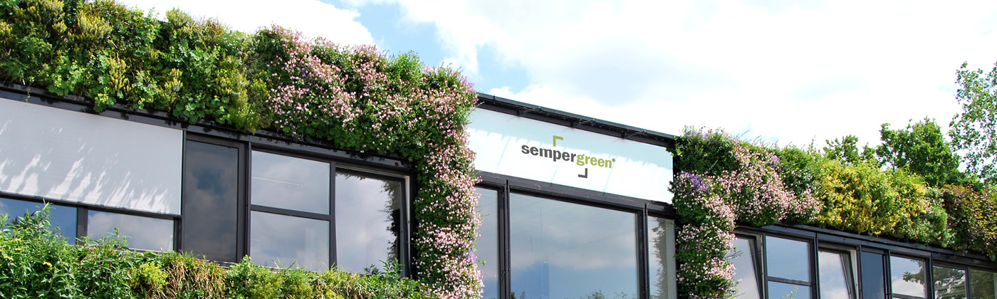 Sempergreen HQ