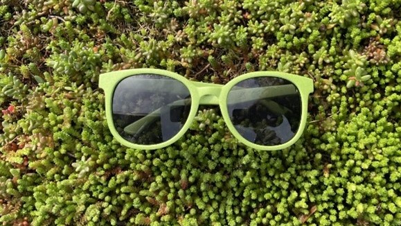 Bekijk jouw project door een groene bril!
