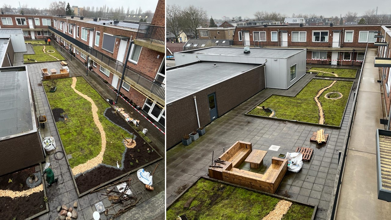 Renovatieproject in De Bilt met verschillende soorten begroeiing. 