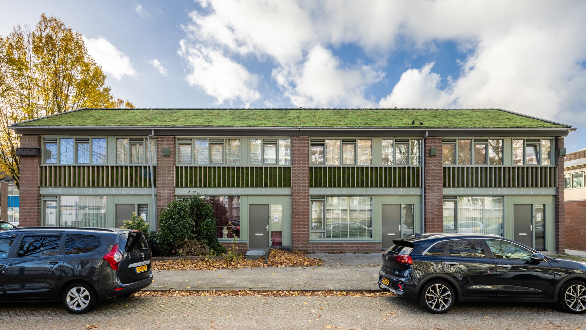 Pitched green roofs on rental properties in Bergen op Zoom, the Netherlands