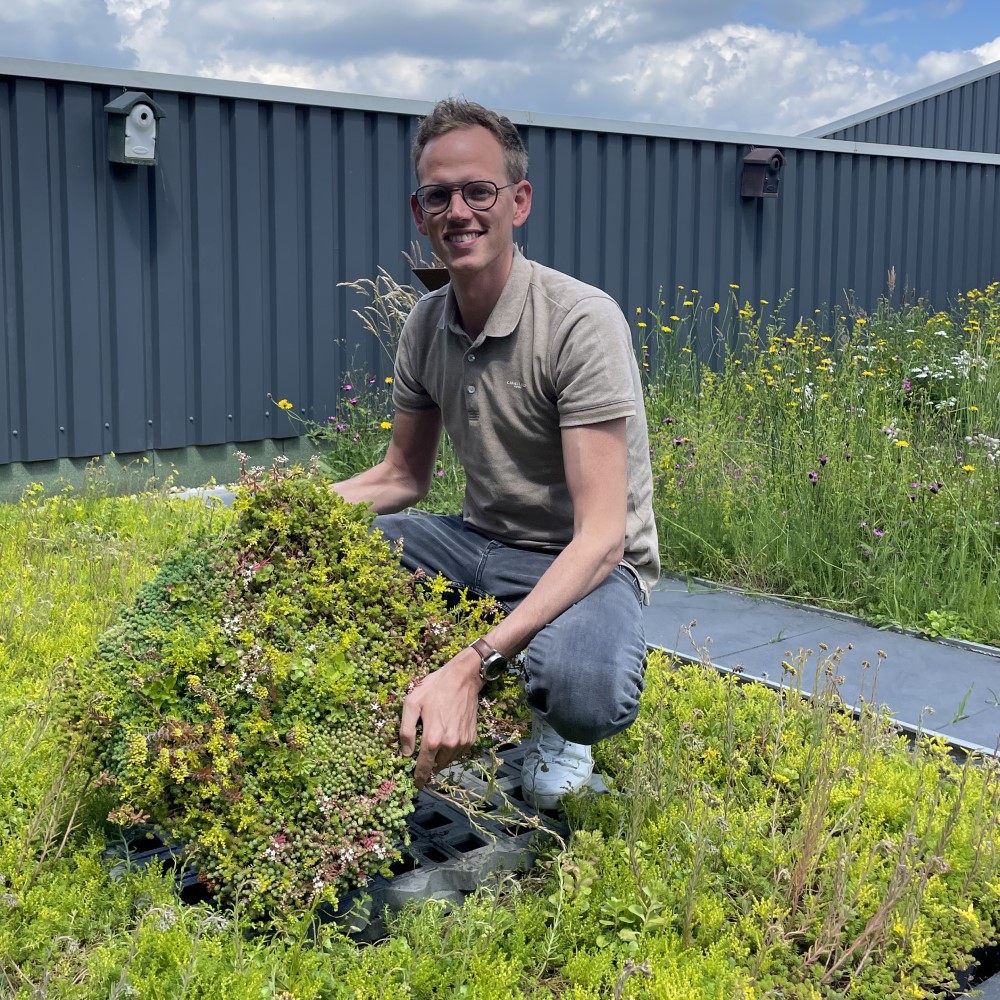 Karel Mooiweer op een groendak met een Sempergreen Sedumtray