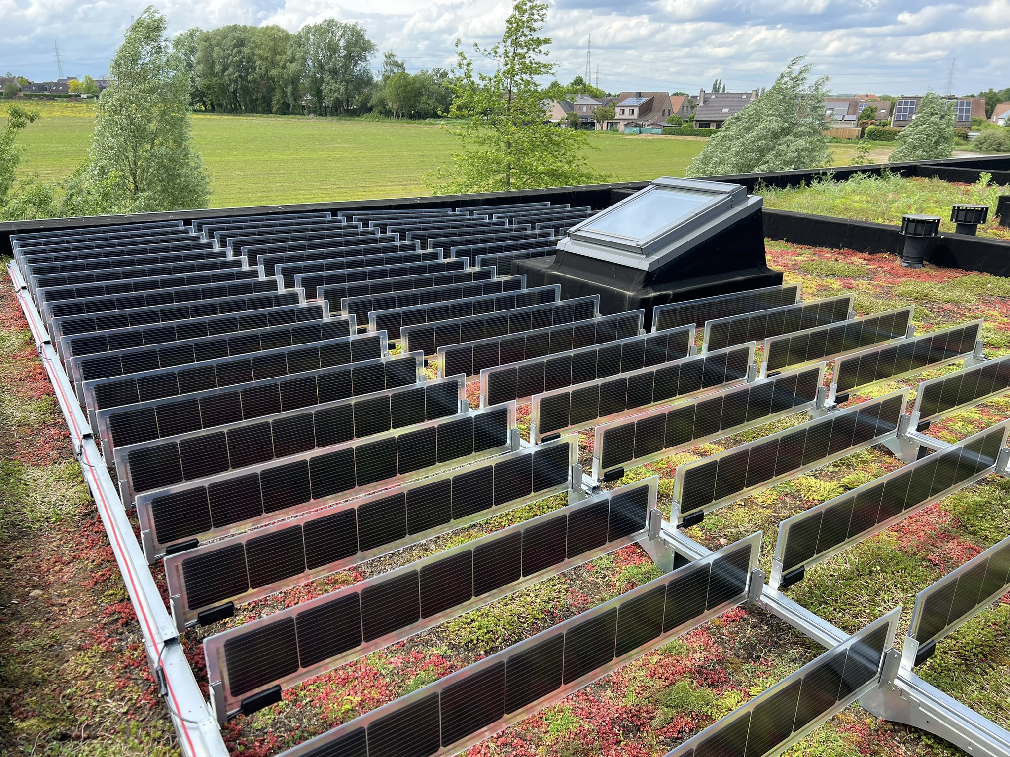 Roof in Dilbeek, Belgium (credits: Solar Batteries)