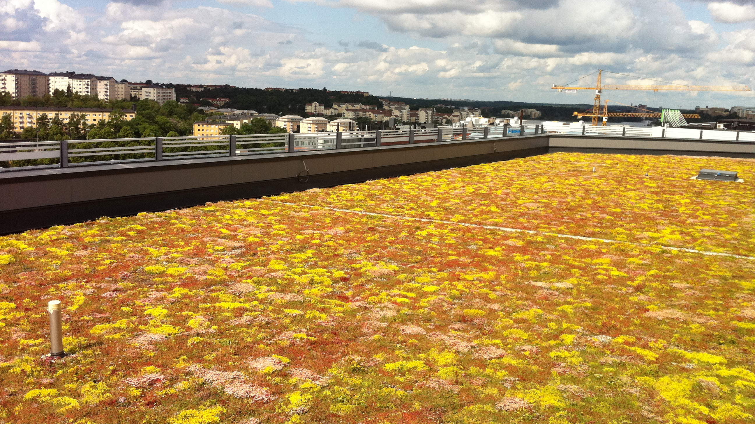 LEED certified Projekt, Skanska HQ 