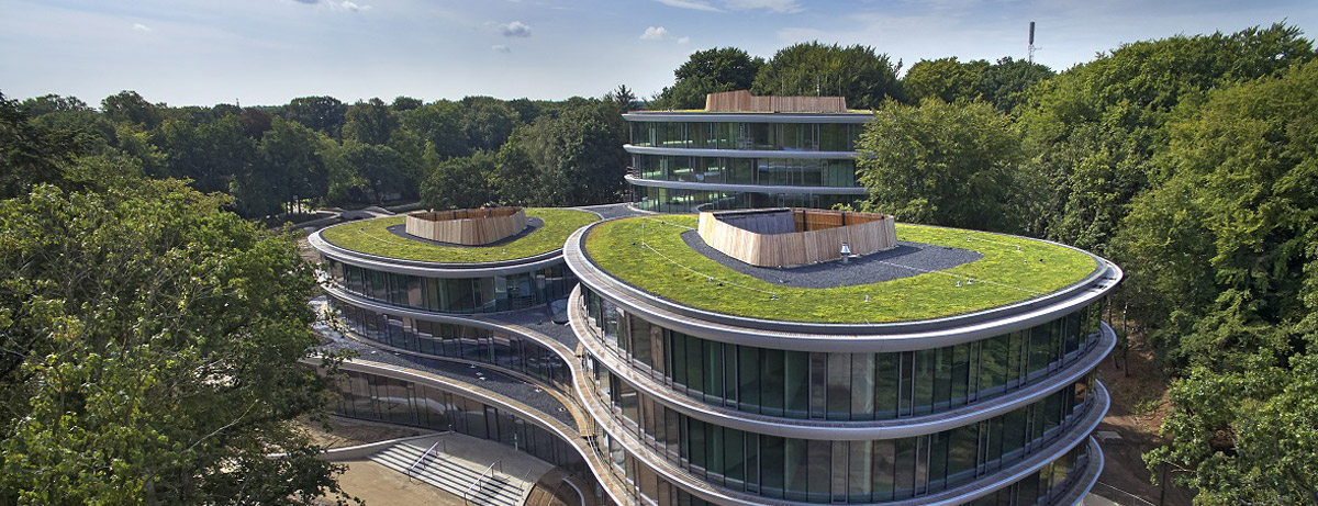 Triodos bank green roof