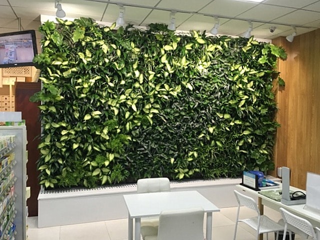 SemperGreenwall for pharmacy in Kunming, China - Sempergreen