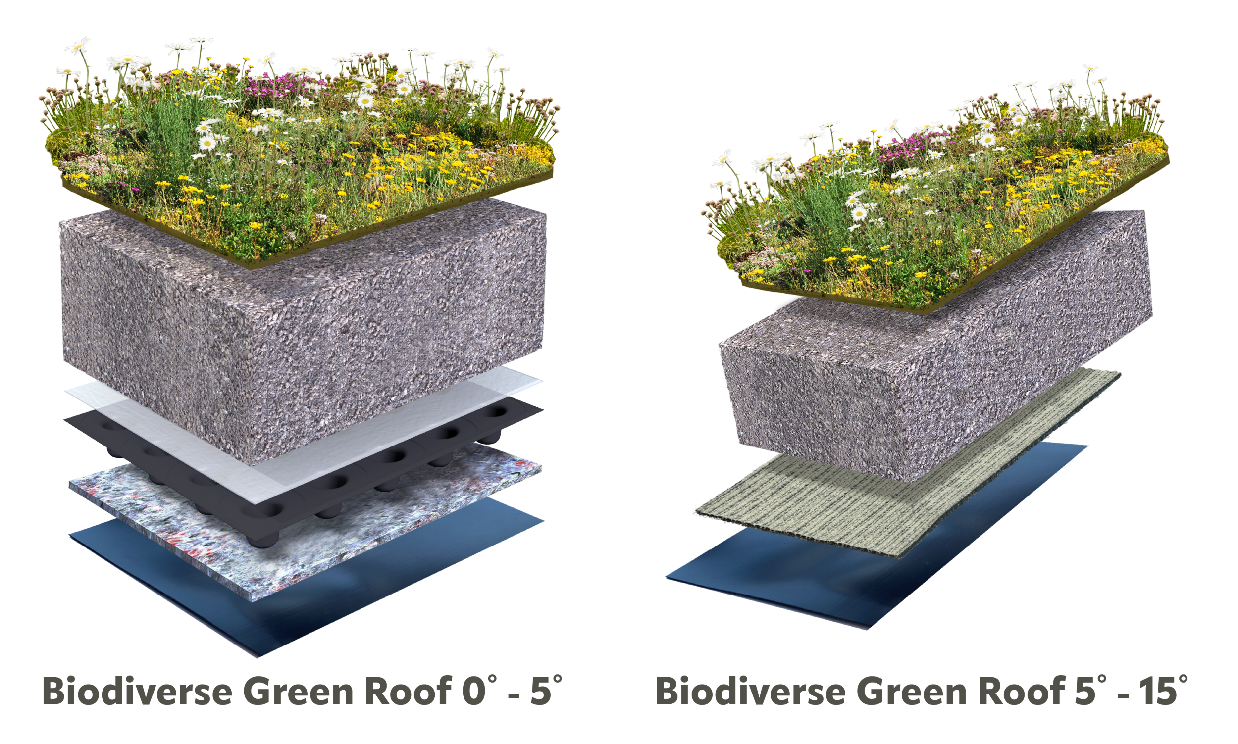 Flat and gently sloping Biodiverse green roof systems