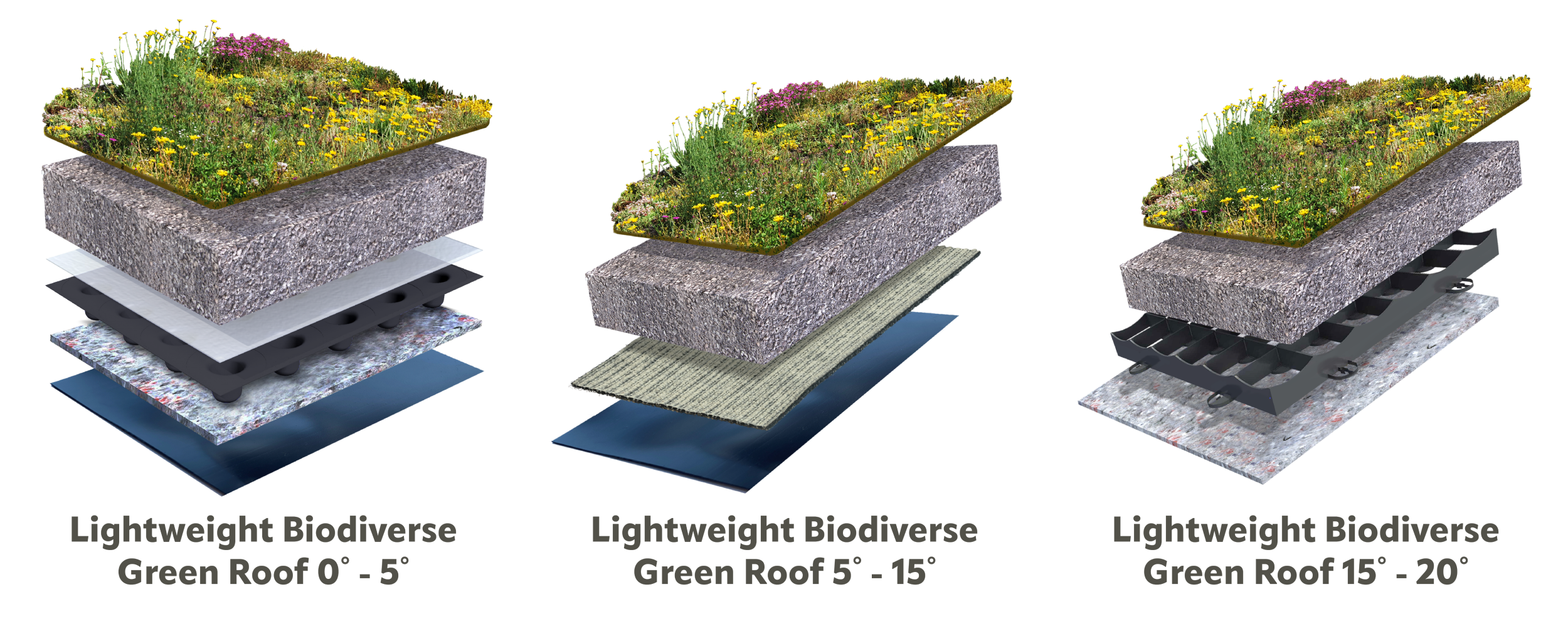 Flat and gently sloping Lightweight Biodiverse green roof systems