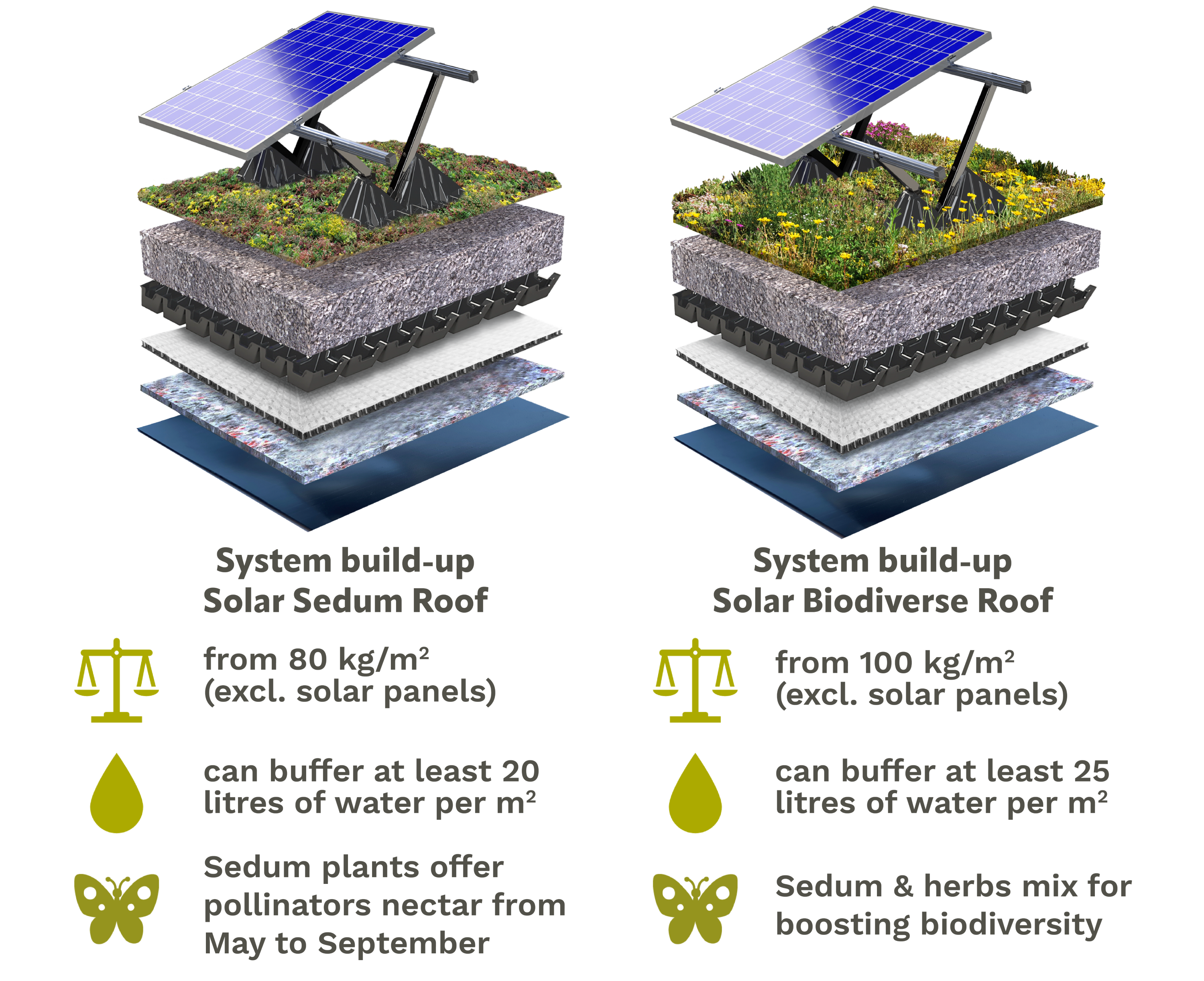 Solar green roof systems details