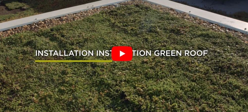 Video and installation instructions for Traditional Sedum Roof system