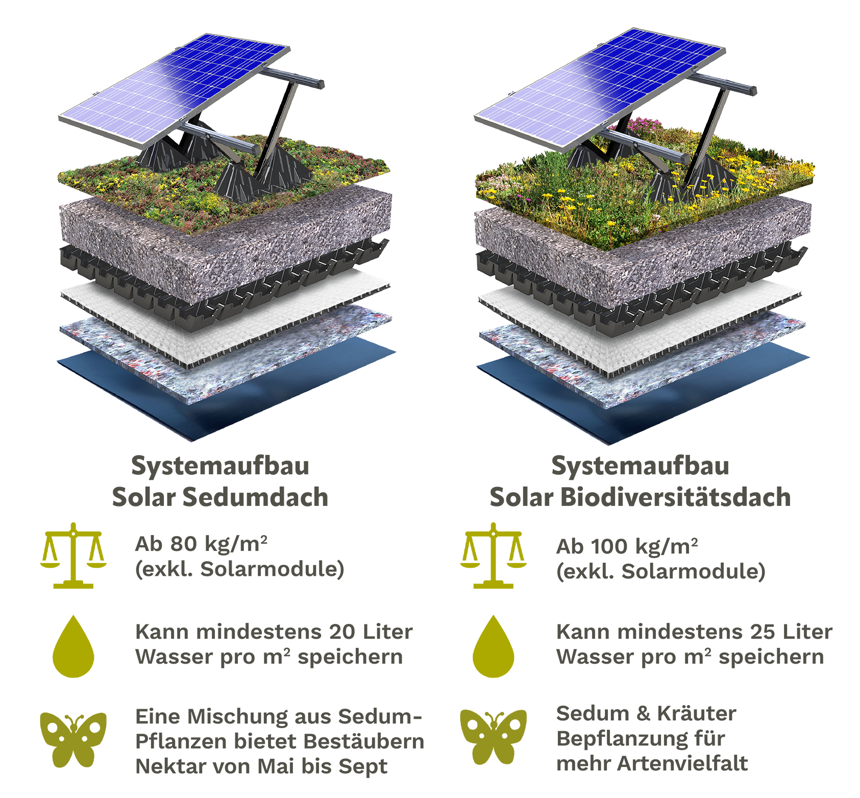 Begrunte dacher mit Solarmodule