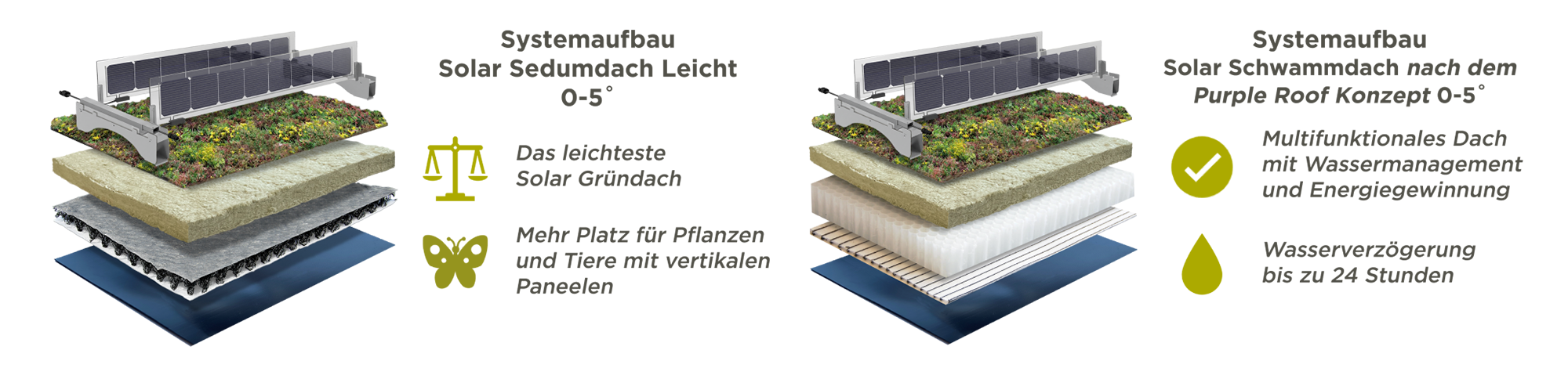 Systemaufbau für das Solar-Sedumdach Leicht und Solar Schwammdach nach dem Purple Roof Konzept