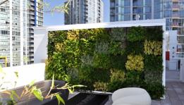 Living Wall