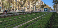 Green tramway Barcelona 1