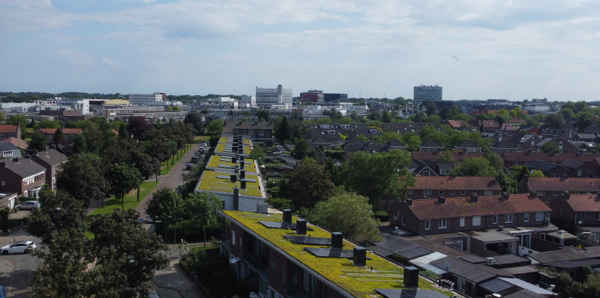 Sanierung Viertel Vogelbuurt 5